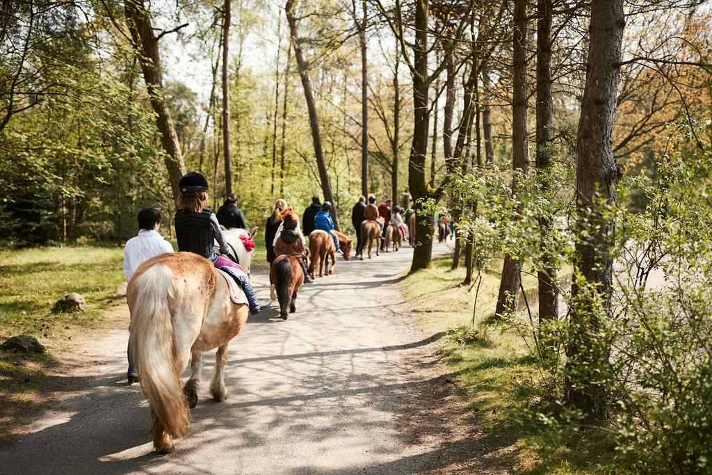 Center Parcs Meerdal Limburg-Brabant America Exterior foto